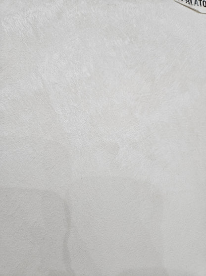 Sabbiato Femaca silver LT 2.5 lavabile a finitura perlescente per interni rapida essiccazione,facile applicazione,Multieffetto, ecologico,inodore